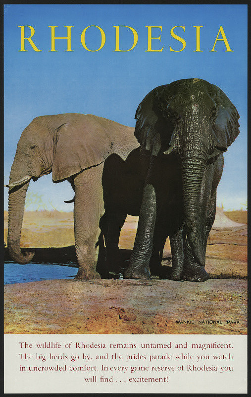 neznámý – Rhodesia, The Wildlife of Rhodesia remains ... Wanke national Park 