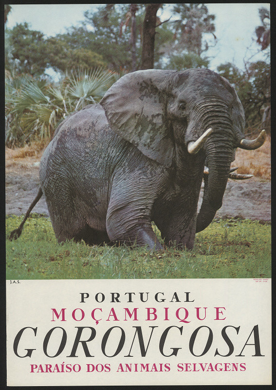 signatura J.A.S. – Portugal Mocambique Gorongosa. Paraíso dos animais ... 