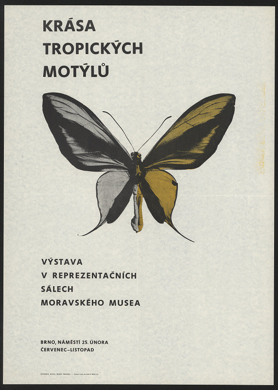 neznámý – Krása tropických motýlů. Moravské museum Brno 1972 