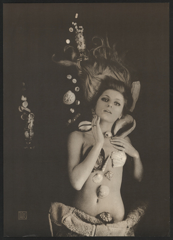 Taras Kuščynskyj – Taras 