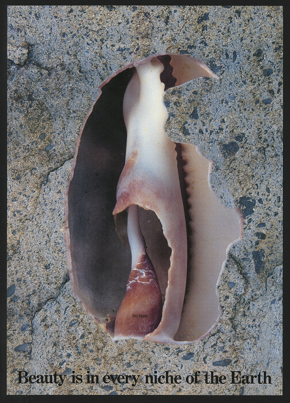 Yasutake Miyagi – I´m here, Beauty is in Every Niche of the Earth 