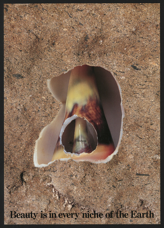 Yasutake Miyagi – I´m here, Beauty is in Every Niche of the Earth 