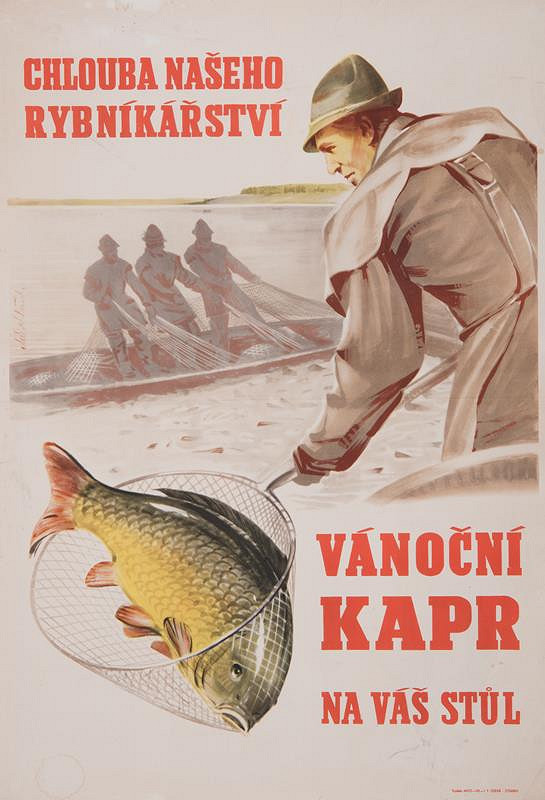 podpis nečitelný – Chlouba našeho rybníkářství. Vánoční kapr na váš stůl 