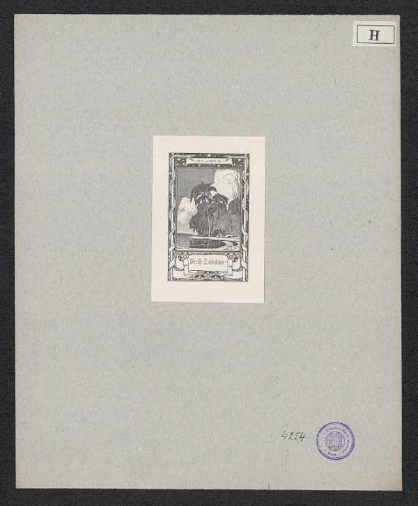 neznámý – Dr. G. Zehden 