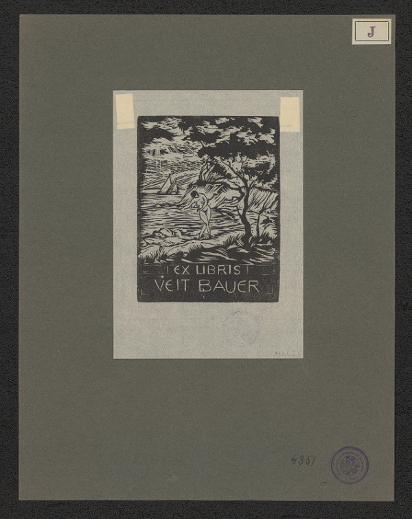 Wilhelm Johannsen – Veit Bauer 