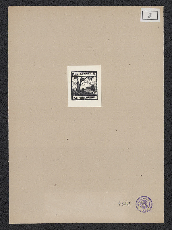 Wilhelm Johannsen – H. E. Phillipson 