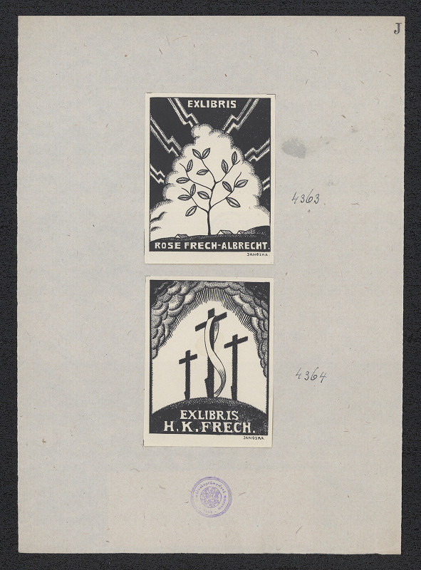 neznámý – Rose Frech-Albrecht 