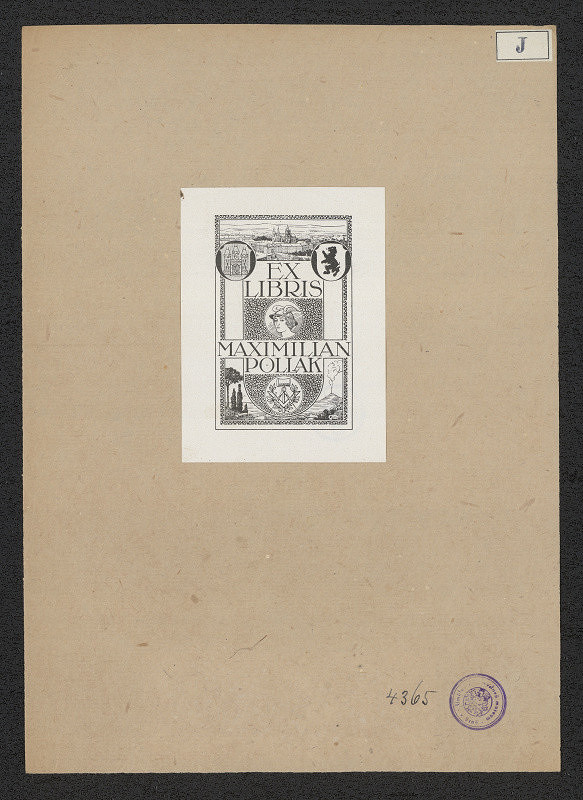 neznámý – Maximilian Pollak 