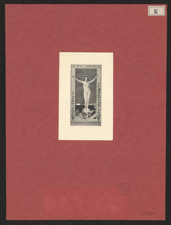 Fridrich F. Kleinwächter – Fridrich F. Kleinwächter 