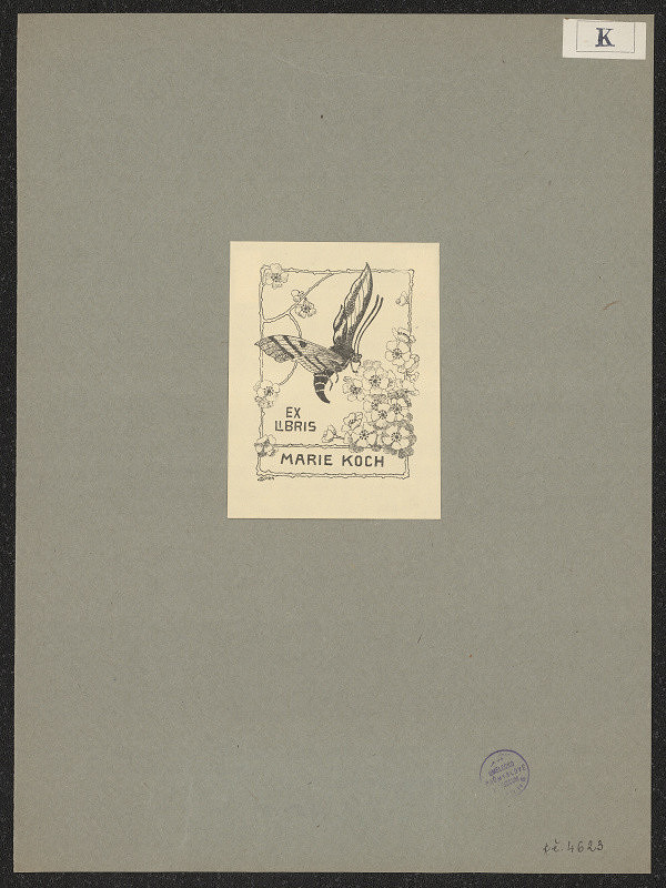 C. Korn – Marie Koch 