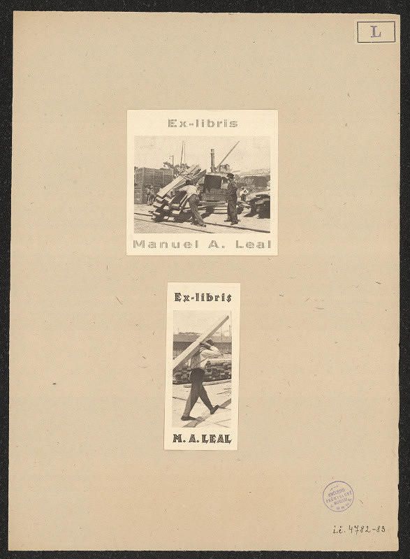 Manuel Araujo Leal – M. A. Leal 