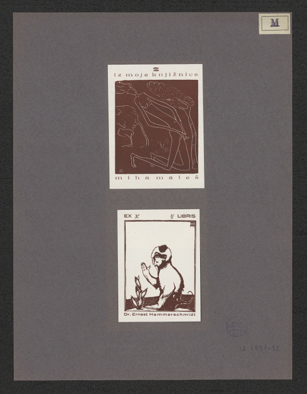 Miha Maleš – Dr. Ernest Hammerschmidt 