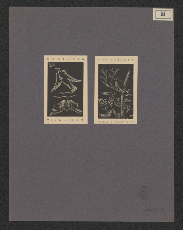 Miha Maleš – Vida Sturm 