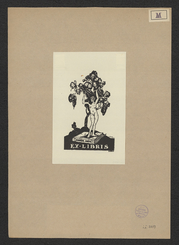 Imre Márton – Schmidl Gréte 