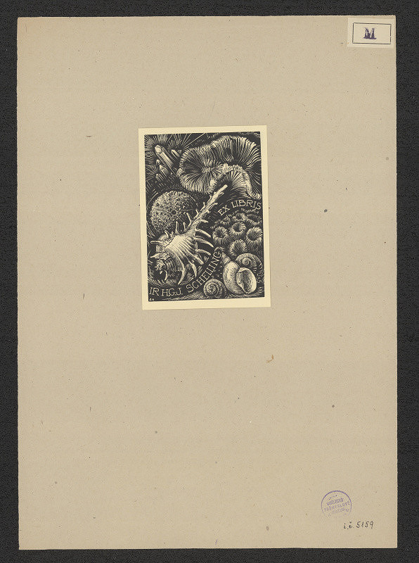 Agata Meyer (Agta Meijer) – H. G. J. Schelling 