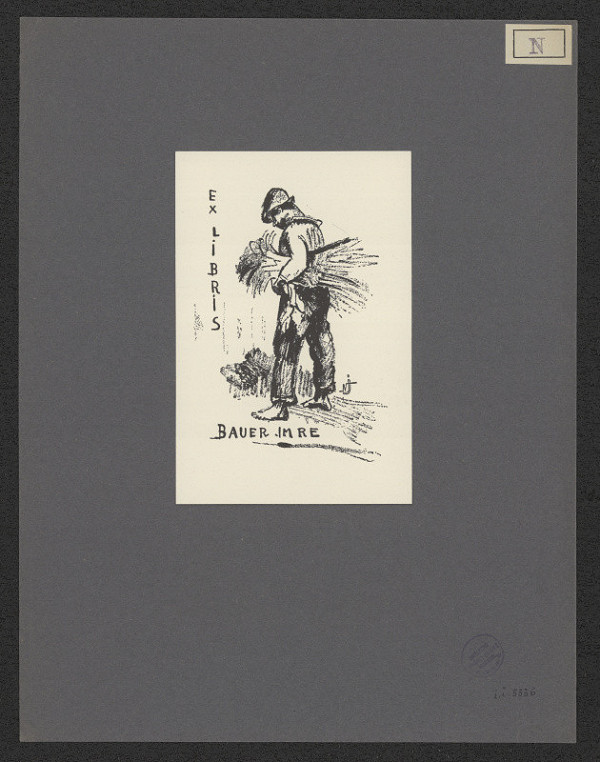 János Nyergesi – Bauer Imre 