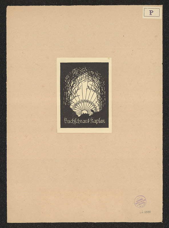 Ernst August Potuczek-Lindenthal – Buchschrank Kaplan 