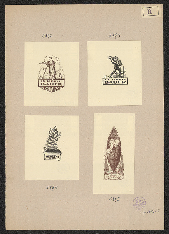 Kornél Révész – Bauer 