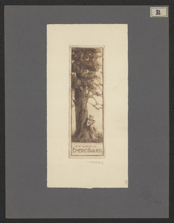 Kornél Révész – Emerici Bauer 