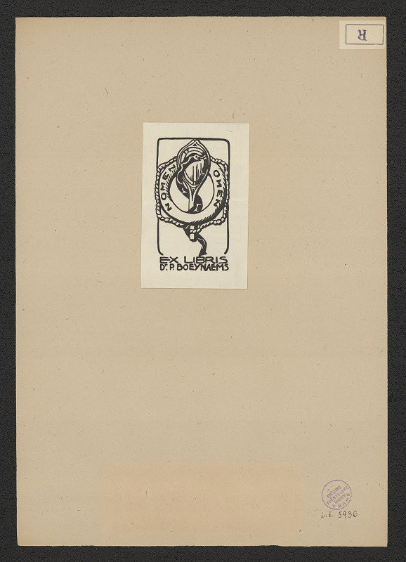 neurčený autor – Dr. P. Boeynaems 