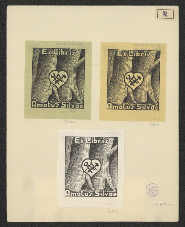 Antoine Rousseau – Amatus Silvae 