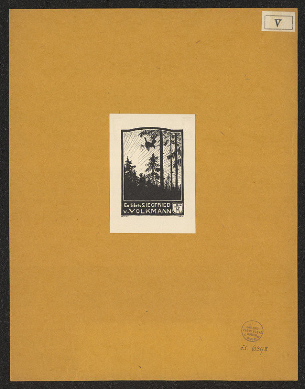 Hans Richard von Volkmann – Siegfried v. Volkmann 