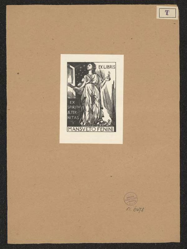 neznámý – Mansveto Fenini 