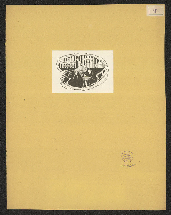 Béla Tomcsányi – Tomaschek Zoltán 