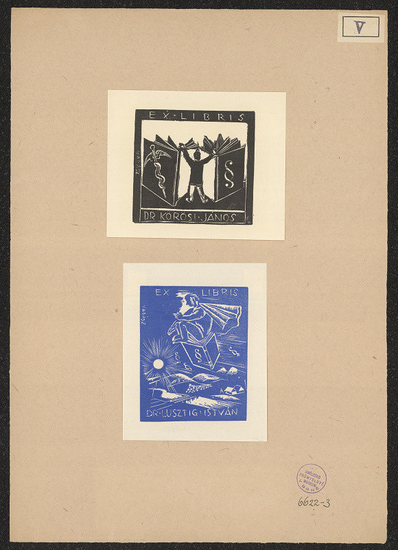 Endre Vadász – Ex libris Dr. Lusztig István 