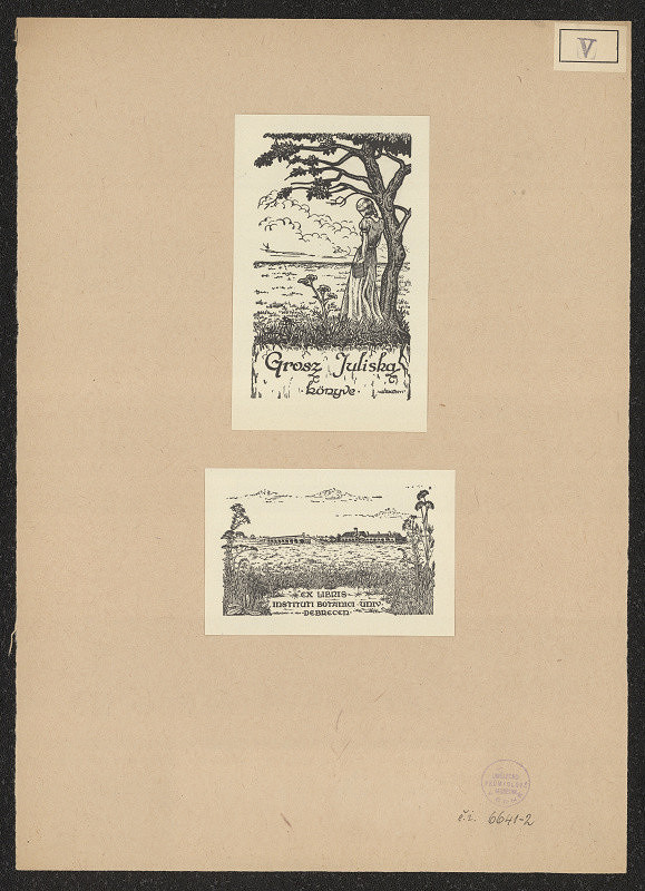 Károly Várkonyi – Ex libris Grosz Juliska 