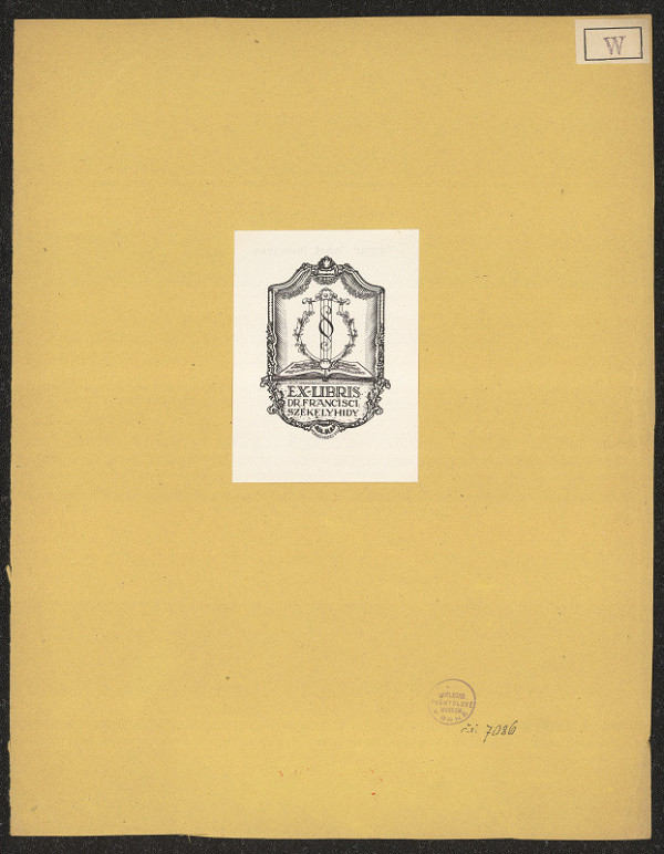 Mancí Werner – Dr. Francisca Székelyhida 