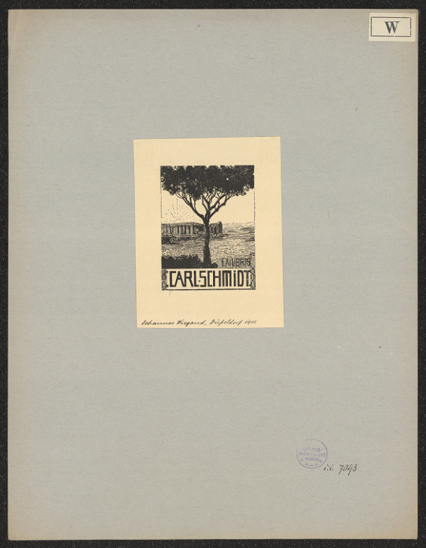 Johannes Wiegoud – Carl Schmidt 