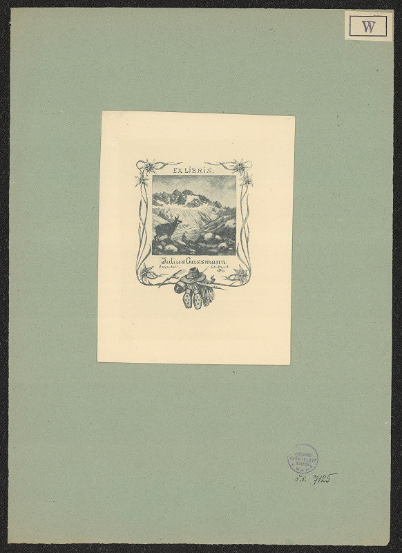 Ernst Wirsum – Julius Gussmann 