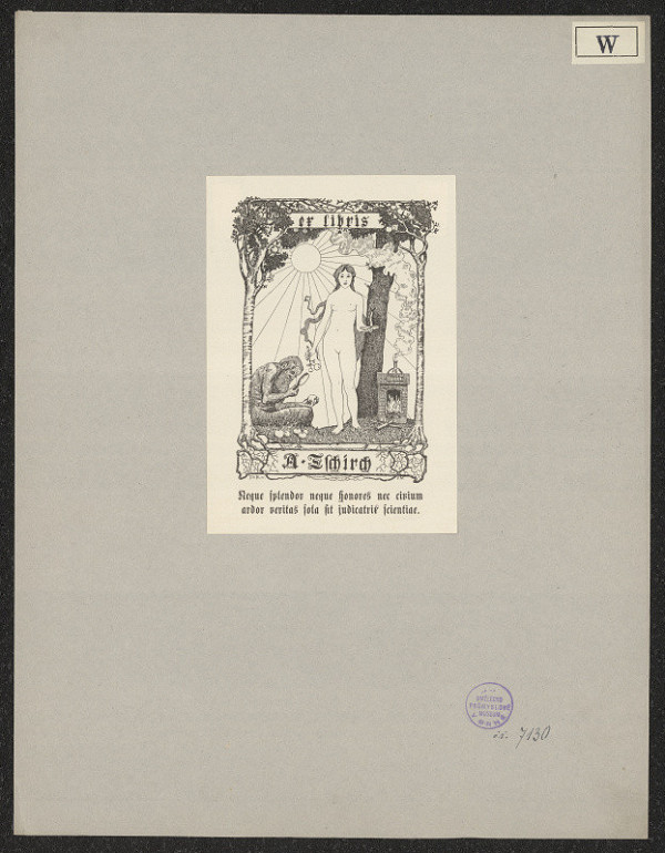 F. Wiermann – A. Tschirch 