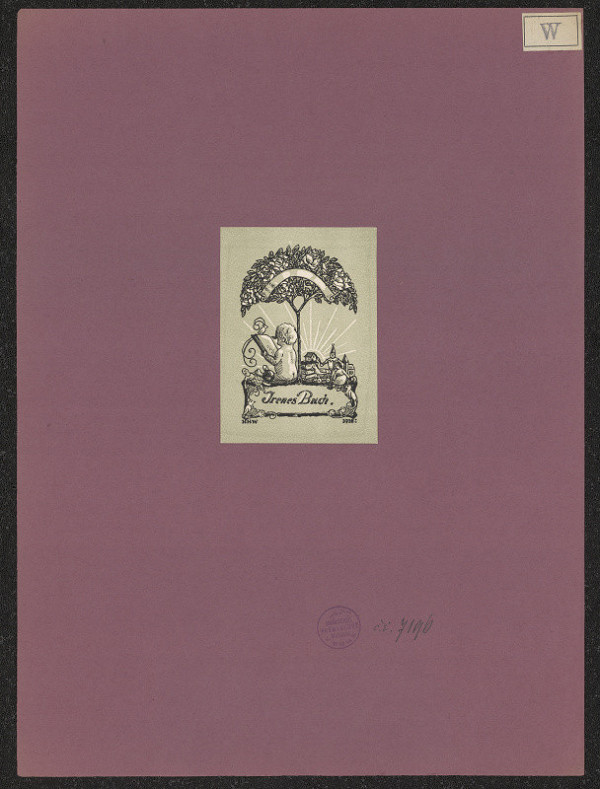 Heinrich Hermann Walther – Irenes Buch 