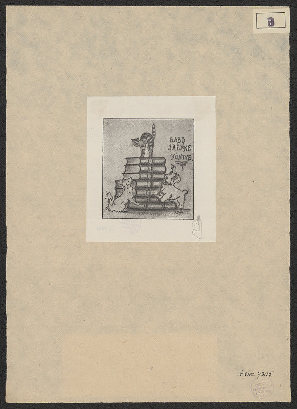 J. (Janos) Babb – Babb Irénke Könyve 