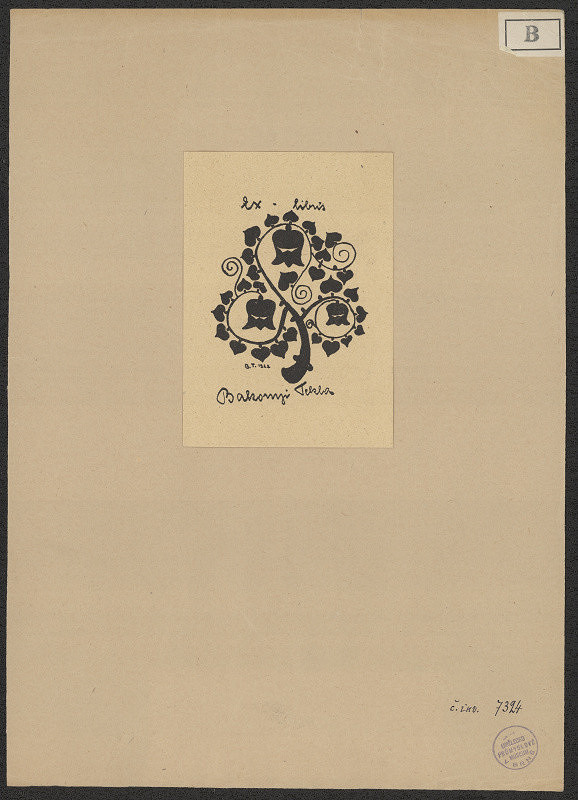 Tekla Bakonyi – Bakonyi Tekla 