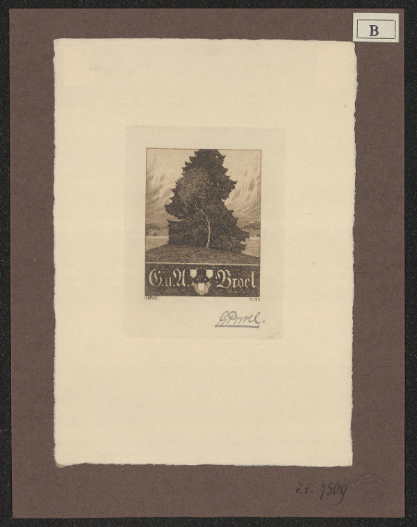 Georg Broel – G. u. U. Broel 