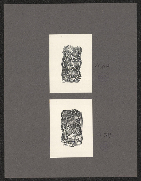 Josef Beneš – V. Benešová 