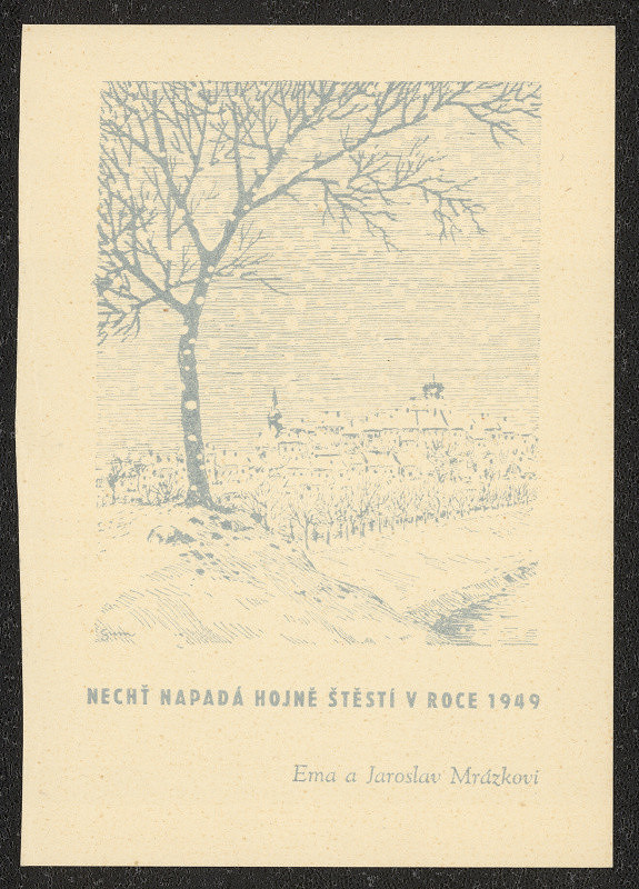neznámý – p.f. 1949 Ema a Jaroslav Mrázek 