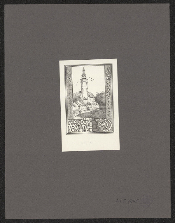 Jan Paroubek – Aleš Malkovský 