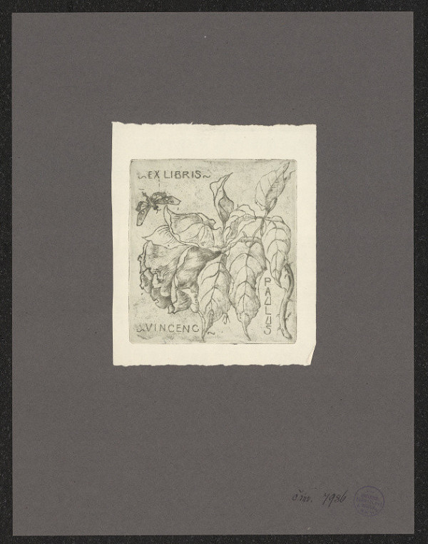 M. Jančáková – Vincenc Paulus 