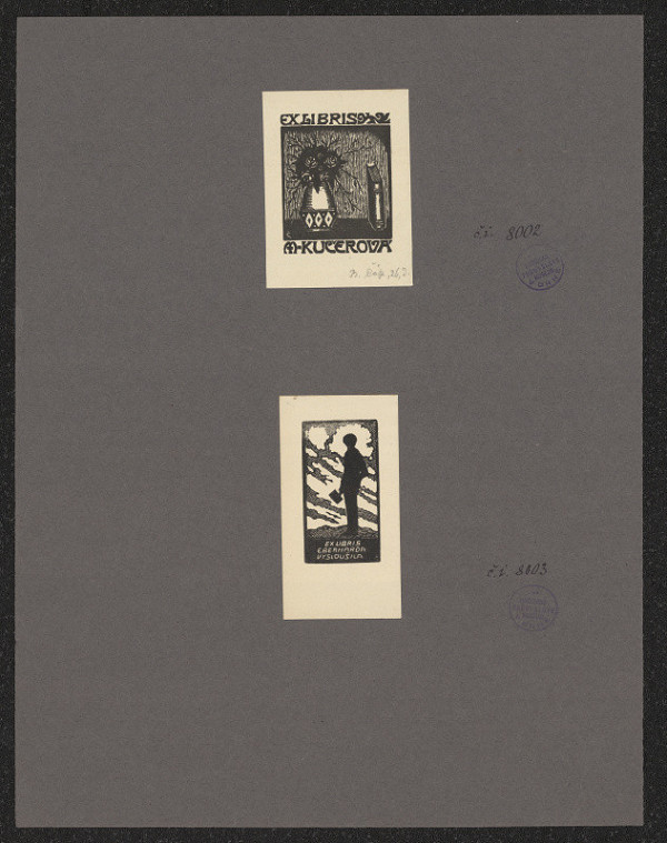 Bohumír Čáp – M. Kučerová 