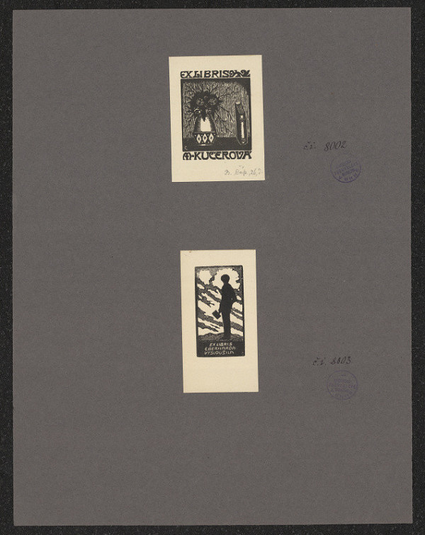 Bohumír Čáp – Eberhard Vysloužil 