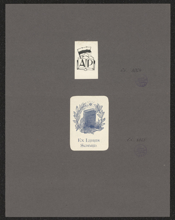 neznámý – Schmid 