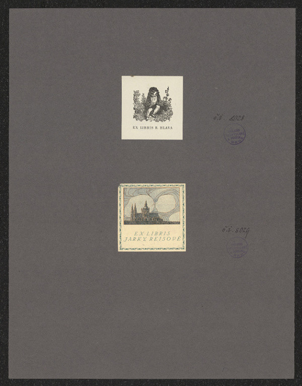 neznámý – R. Hlava 