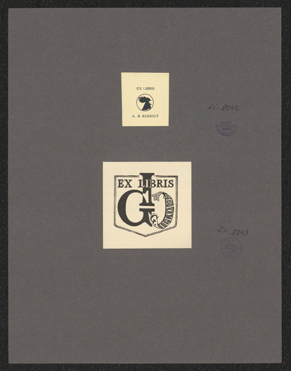 neznámý – G. Illový 