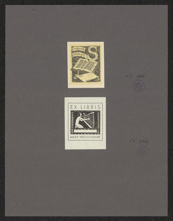 neznámý – M. Preiningrová 