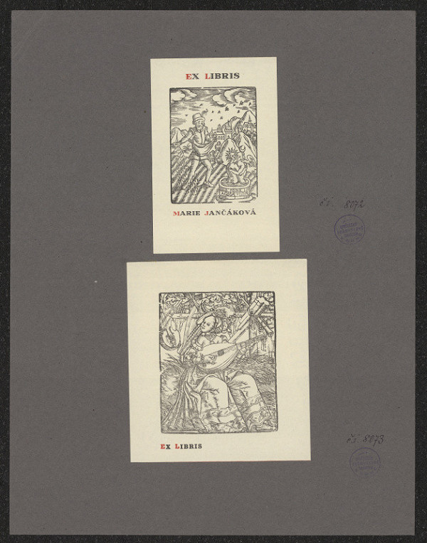 neznámý – M. Jančáková 