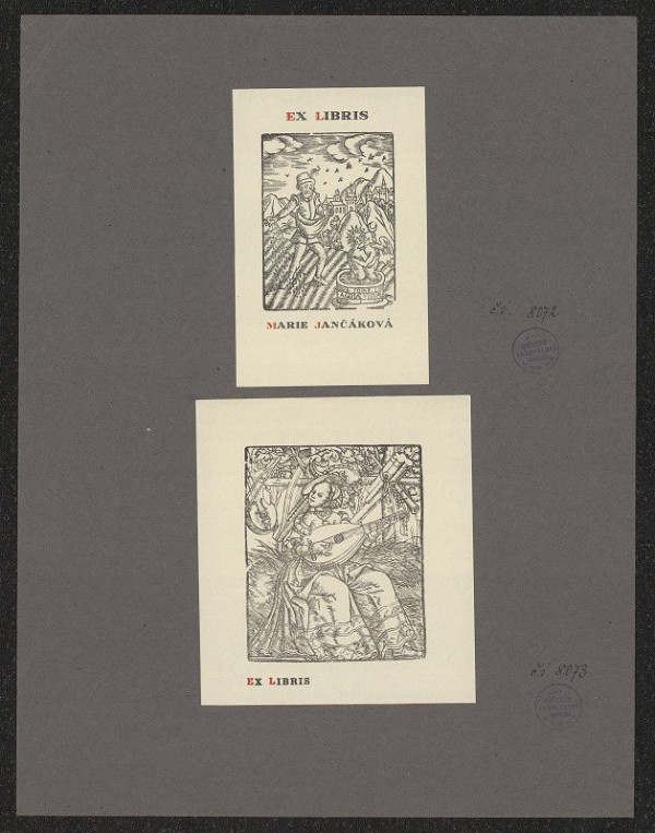 neznámý – M. Jančáková 